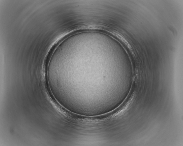 X0000111910981200908101157