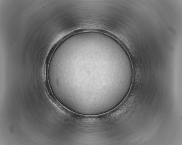 X0000111910982200908101157