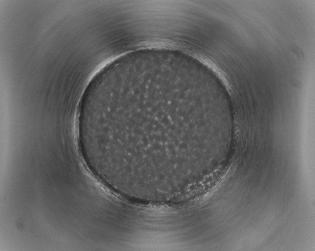 X0000111910983200908101157