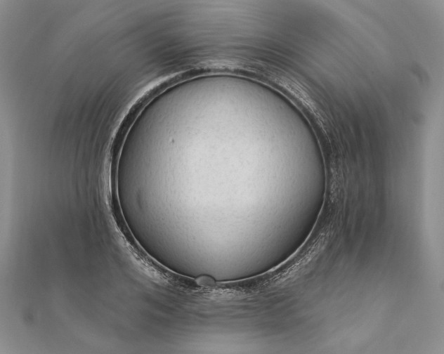 X0000111910984200908101157