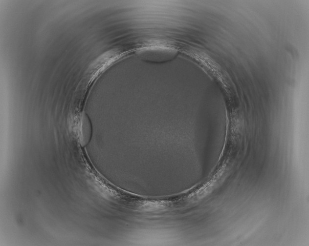 X0000111910985200908101157