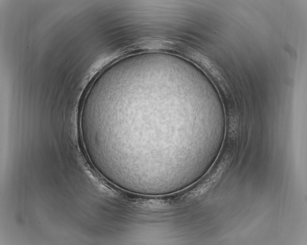 X0000111910986200908101157