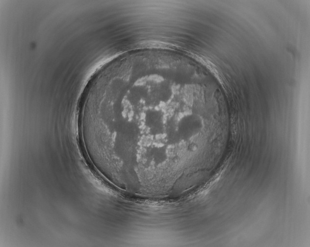 X0000111910987200908101157