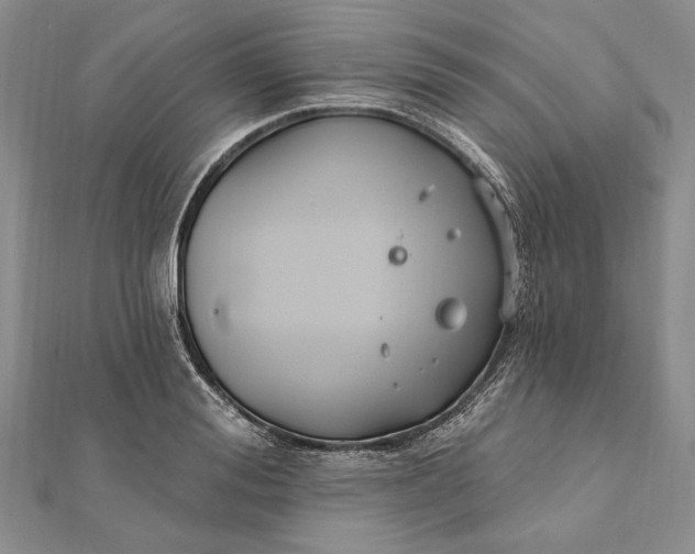 X0000111910988200908101157