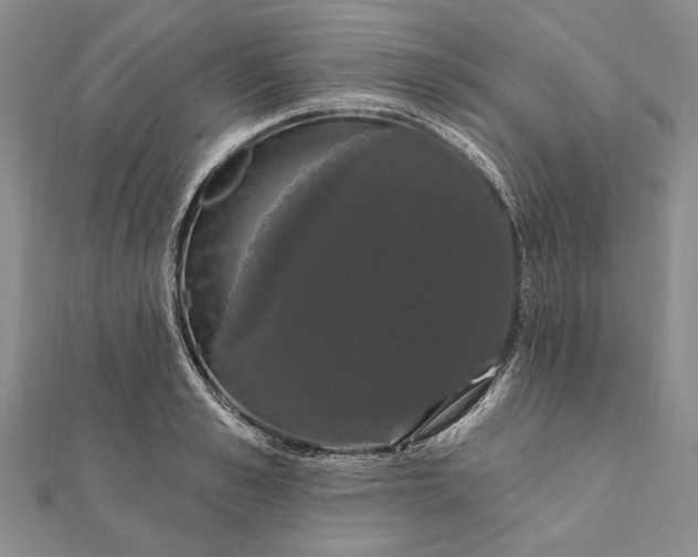 X0000111910989200908101157