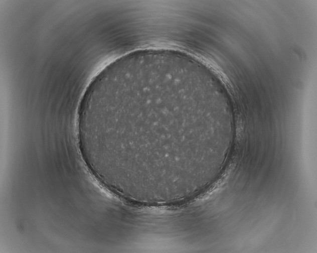 X0000111910990200908101157