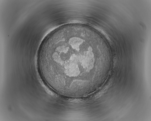 X0000111910991200908101157