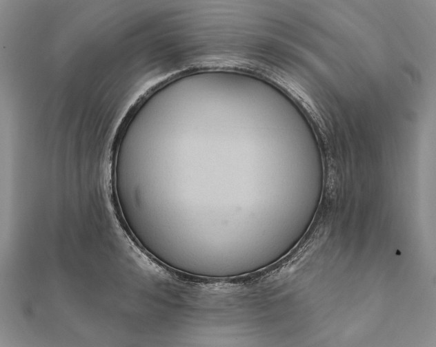 X0000111910992200908101157