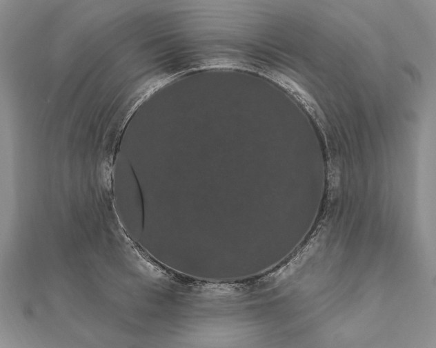 X0000111910993200908101157