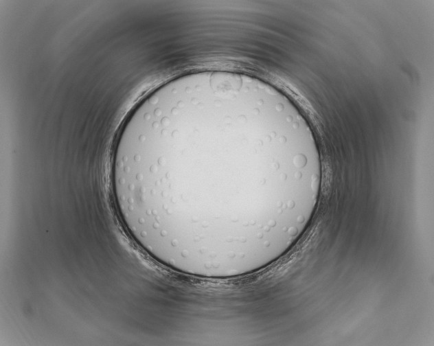 X0000111910994200908101157