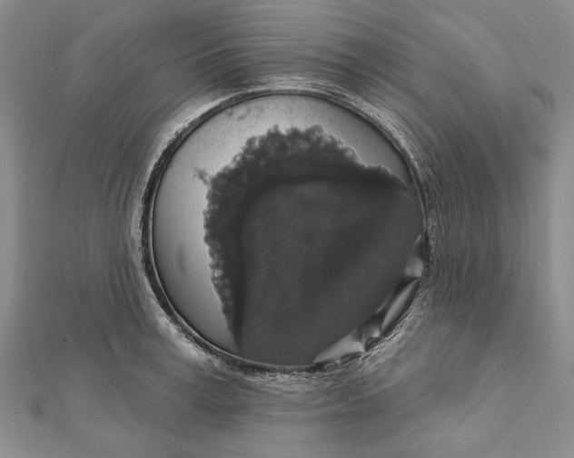 X0000111910995200908101157