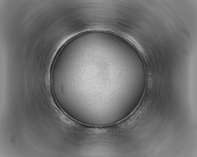 X0000111910996200908101157