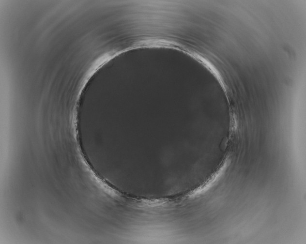 X0000111910997200908101157