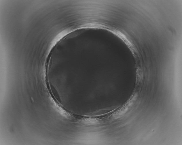 X0000111910998200908101157