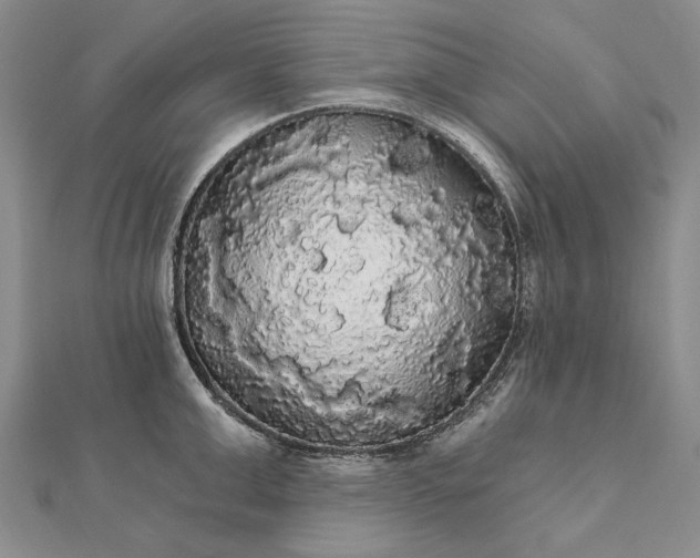 X0000111910999200908101157