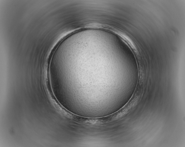 X0000111911000200908101157