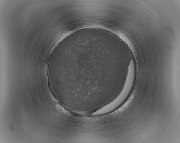 X0000111911001200908101157