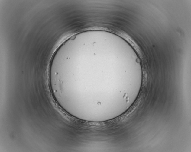 X0000111911002200908101157