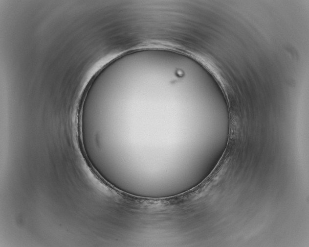 X0000111911003200908101157