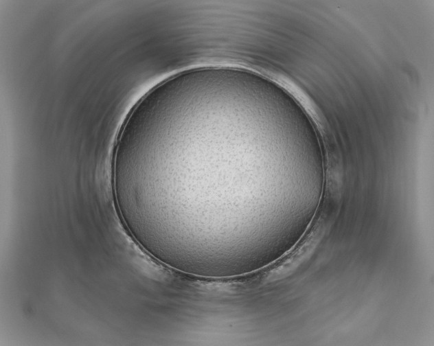 X0000111911004200908101157