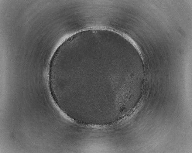 X0000111911005200908101157