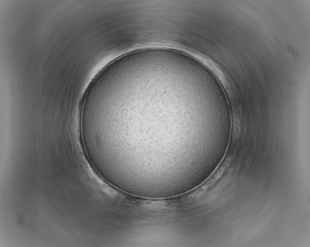 X0000111911006200908101157