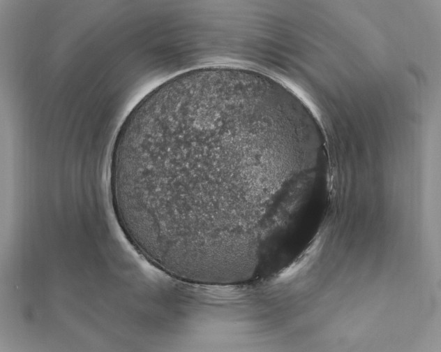 X0000111911007200908101157