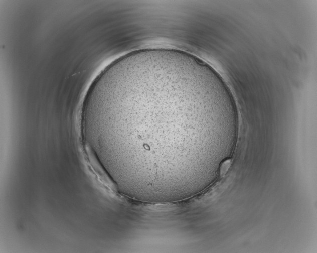 X0000111911008200908101157