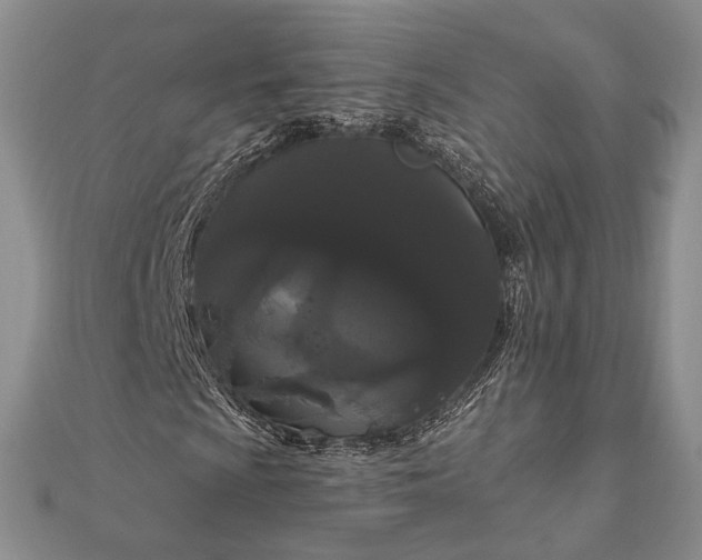 X0000111911009200908101156