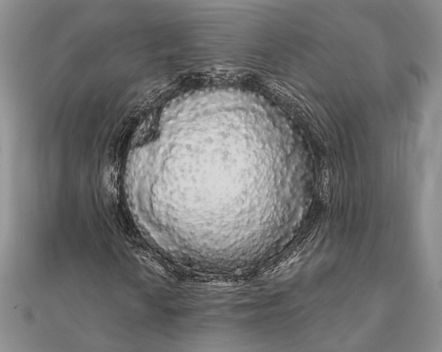 X0000111911010200908101156