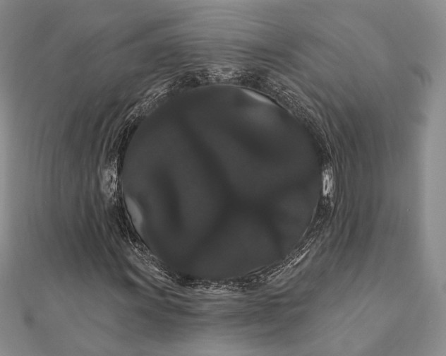 X0000111911011200908101156