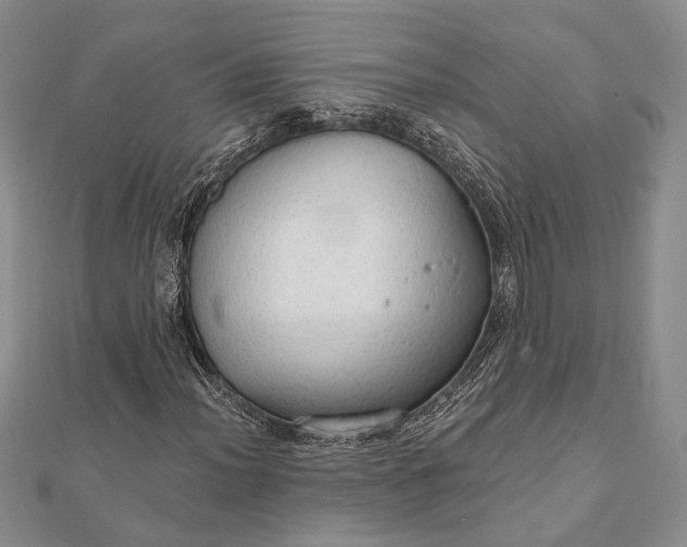 X0000111911012200908101156