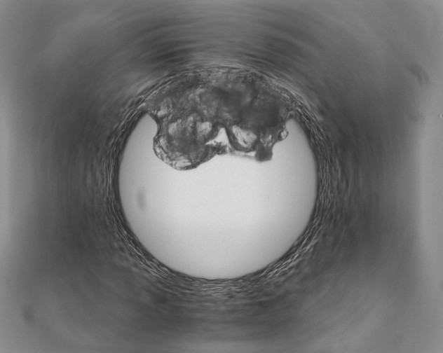 X0000111911013200908101156