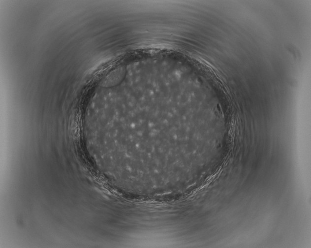 X0000111911014200908101156