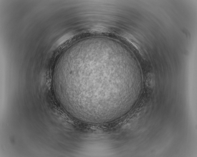 X0000111911015200908101156