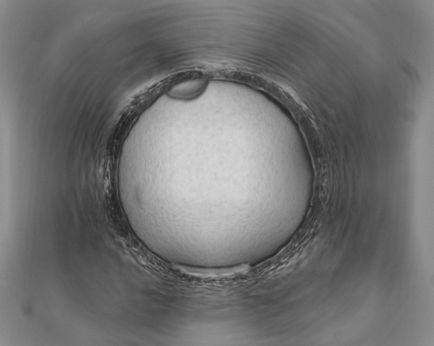 X0000111911016200908101156