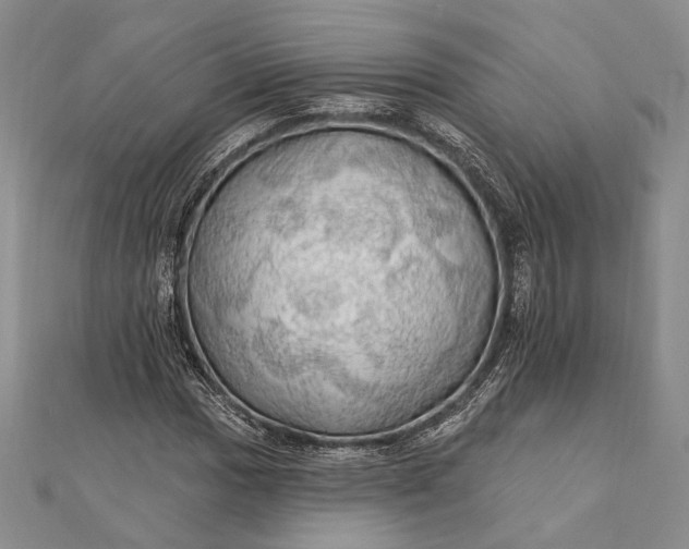 X0000111911017200908101156