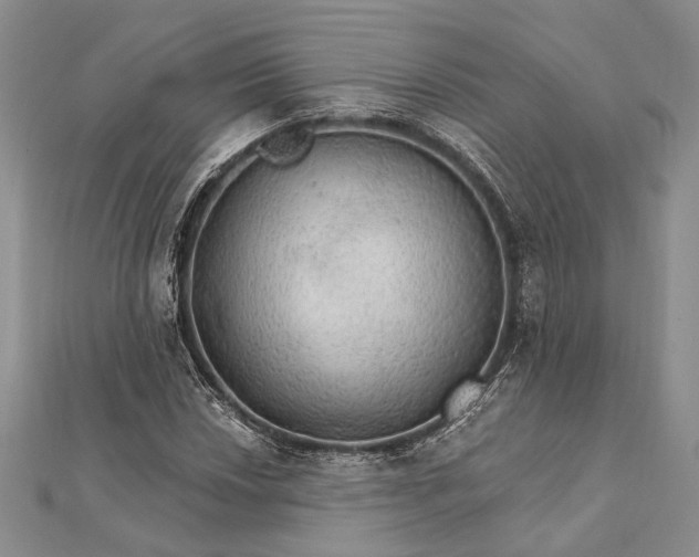 X0000111911018200908101156