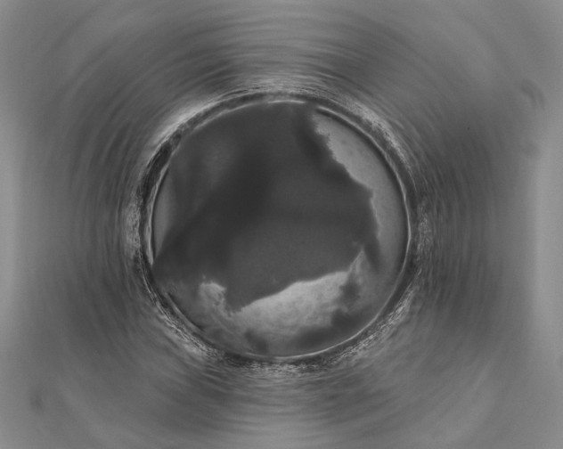 X0000111911019200908101156