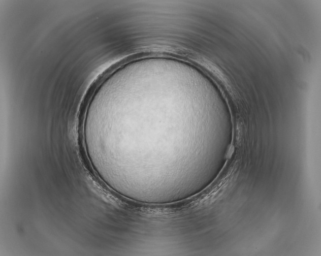 X0000111911020200908101156