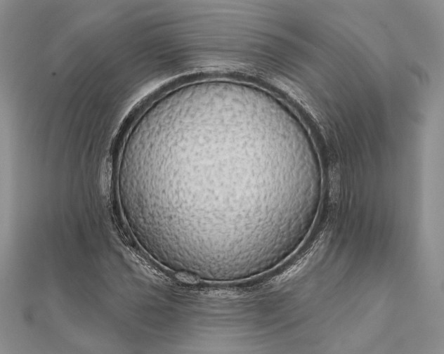 X0000111911021200908101156