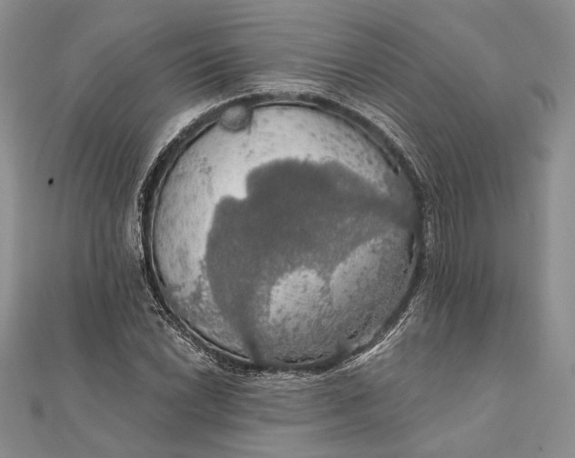 X0000111911022200908101156