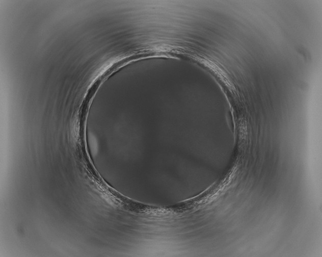 X0000111911023200908101156