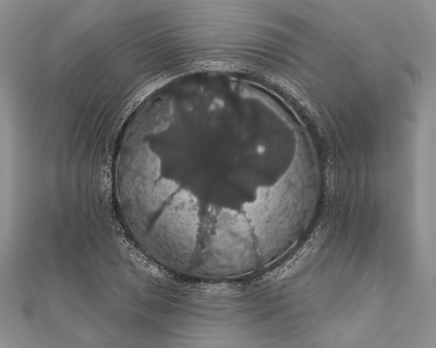 X0000111911025200908101156