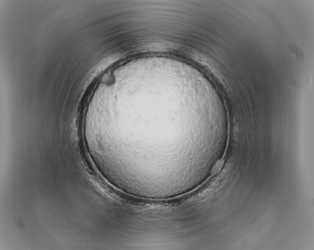 X0000111911026200908101156