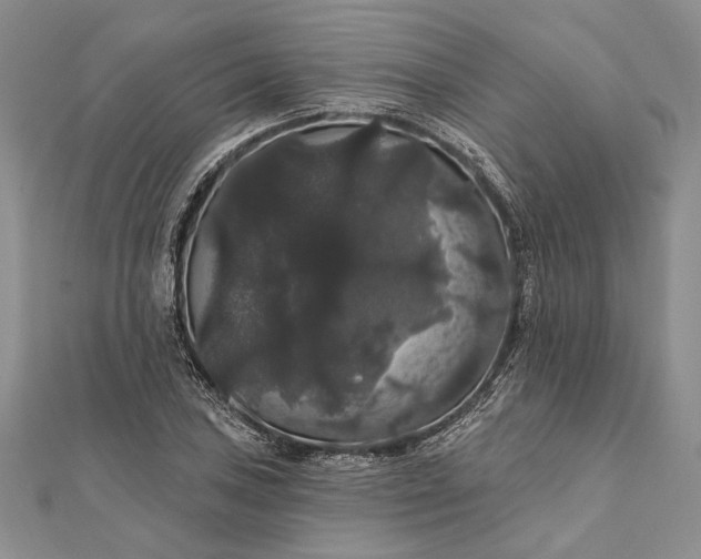 X0000111911027200908101156