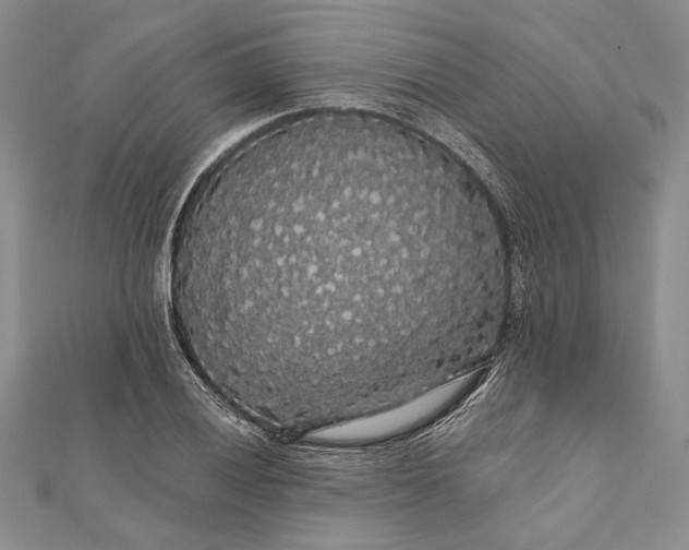 X0000111911028200908101156