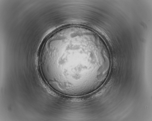 X0000111911029200908101156