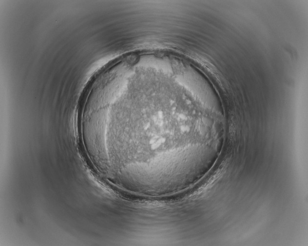 X0000111911030200908101156