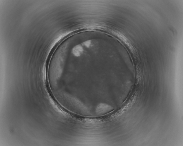 X0000111911032200908101156